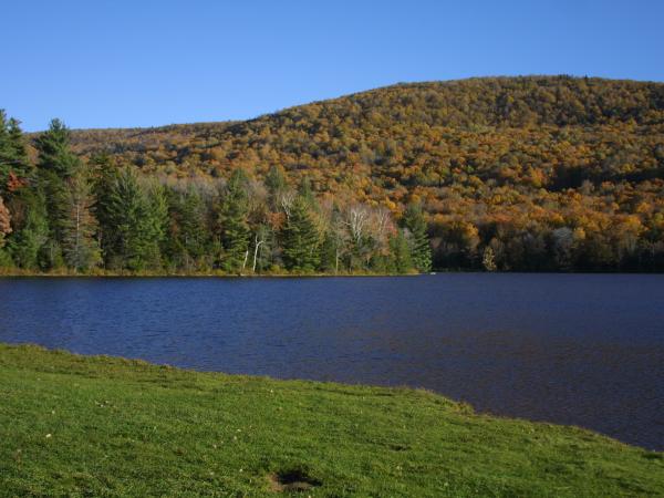 Scenic Drives